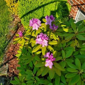 Meet your Posher, Jeannie